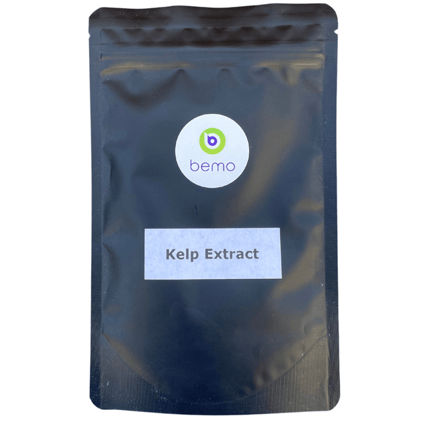 bemo, Kelp Extract, 100g (4890314604684)
