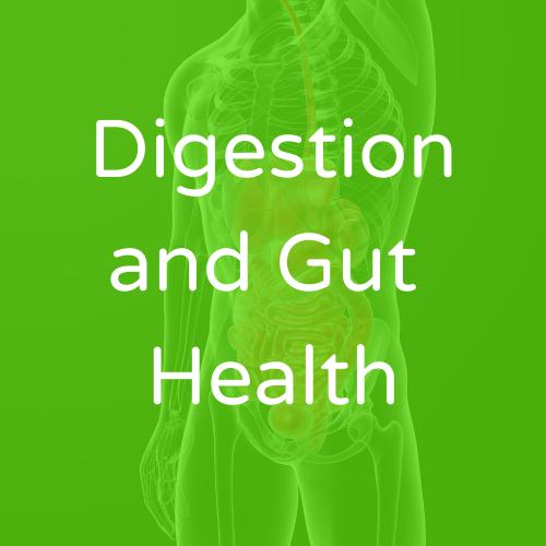 Digestion and Gut Health