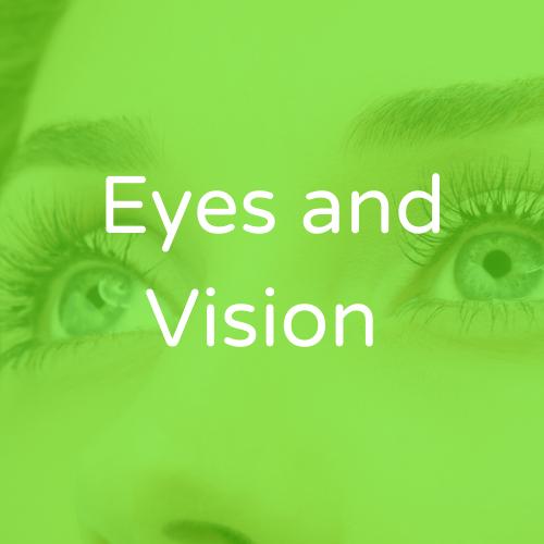 Eyes and Vision