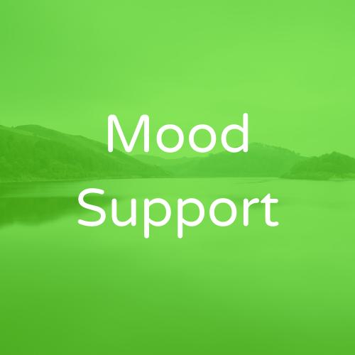 Mood Support