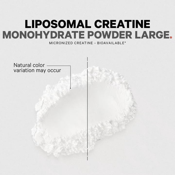 Codeage, Liposomal Creatine Powder, Unflavoured, 455g